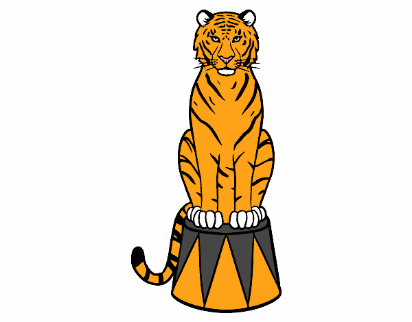 Tigre de circo