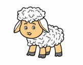 Dibujo Una ovejita pintado por Lamar