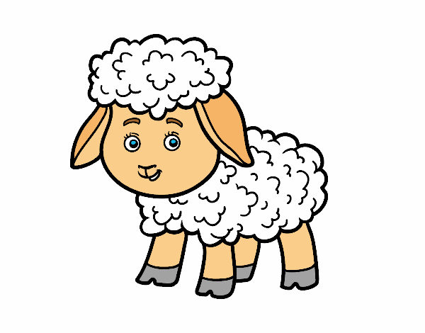 Dibujo Una ovejita pintado por Lamar