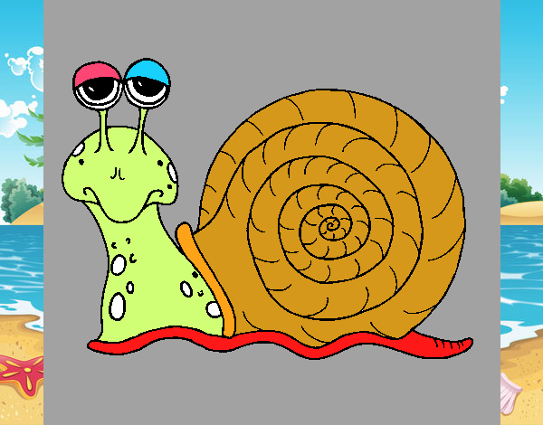 Caracol 3