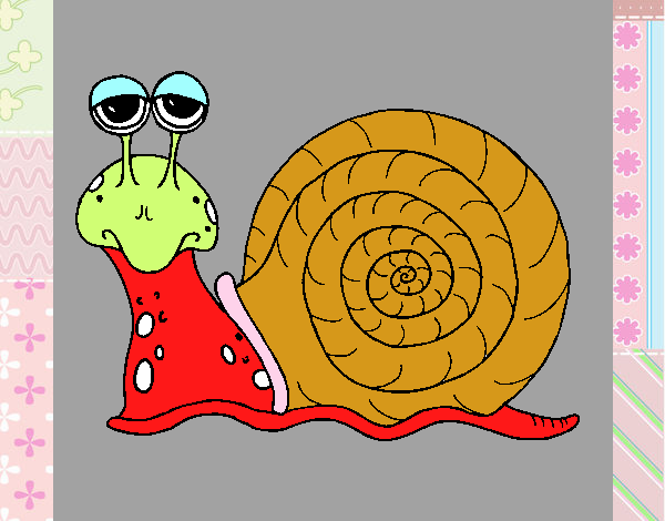 Caracol 3