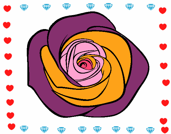 Flor de rosa