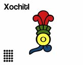 Los días aztecas: la flor Xochitl