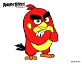 Red de Angry Birds