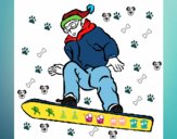 Snowboard