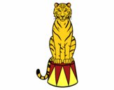 Tigre de circo