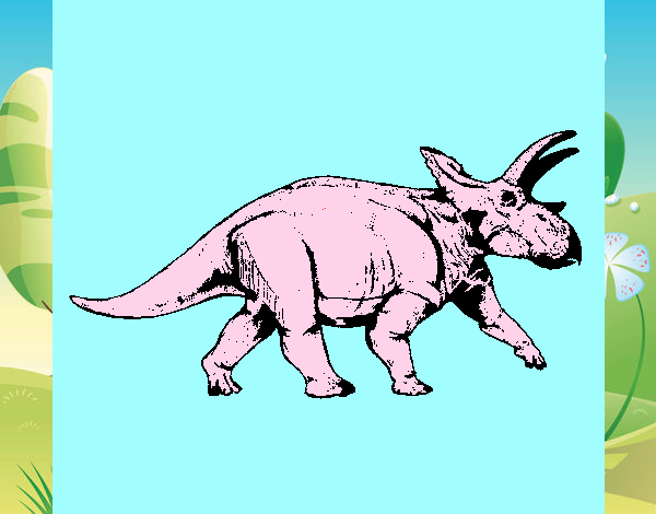 Triceratops 1