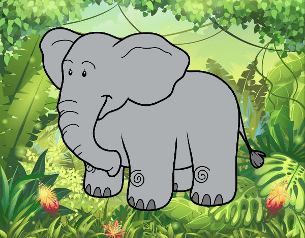 Elefante en la selva.