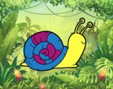 El caracol