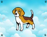 Perro Beagle