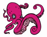 Pulpo enfadado