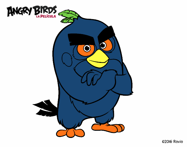 Red de Angry Birds