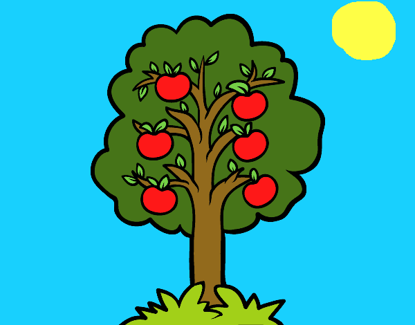 Dibujo de Árbol de manzanas. pintado por Biankyss en  el día  20-10-16 a las 07:54:19. Imprime, pinta o colorea tus propios dibujos!