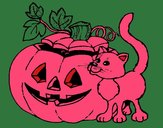 Calabaza y gato