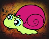 Caracol bebé