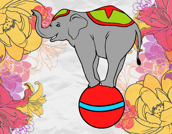 Elefante equilibrista