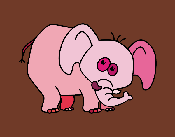 Elefante vergonzoso