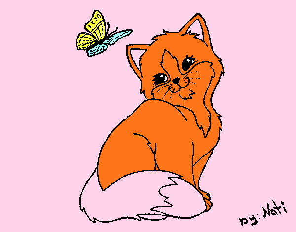 Gatito y mariposa