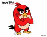 Red de Angry Birds