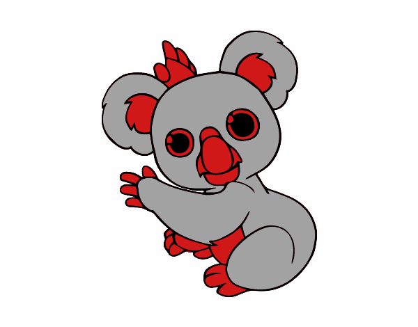 un koala