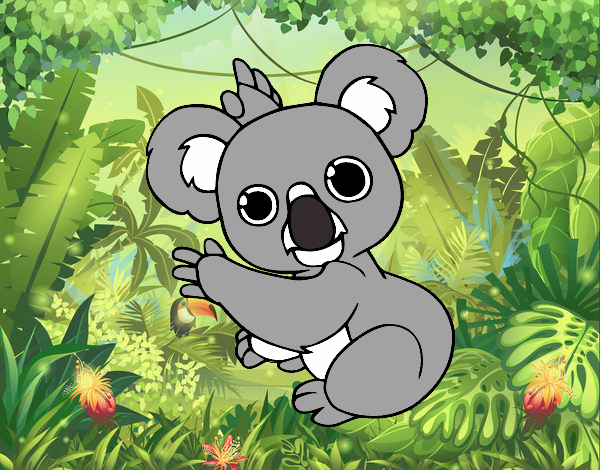 koala bebe en la selva