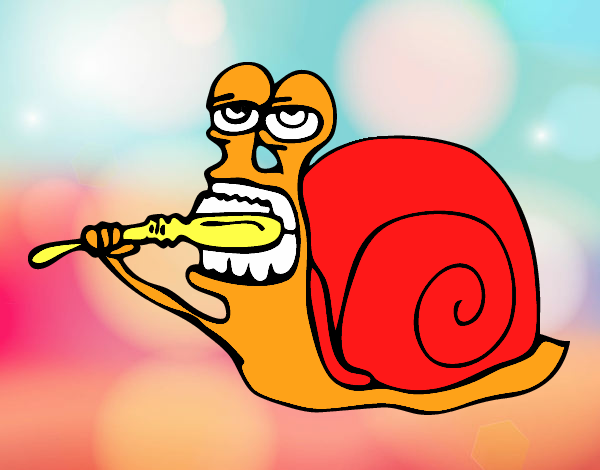 Caracol limpio