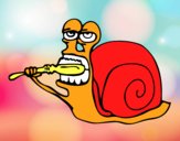 Caracol limpio