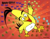 Chuck de Angry Birds