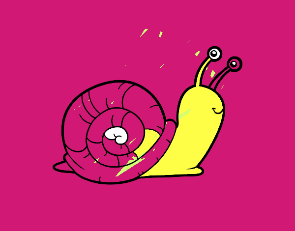 El caracol