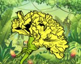 Dibujo Flor de clavel pintado por camilipu25