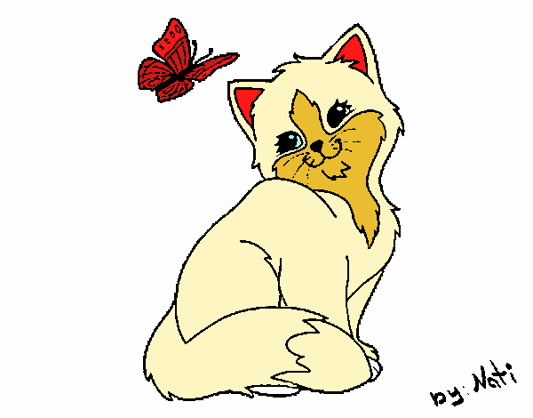 Gatito y mariposa