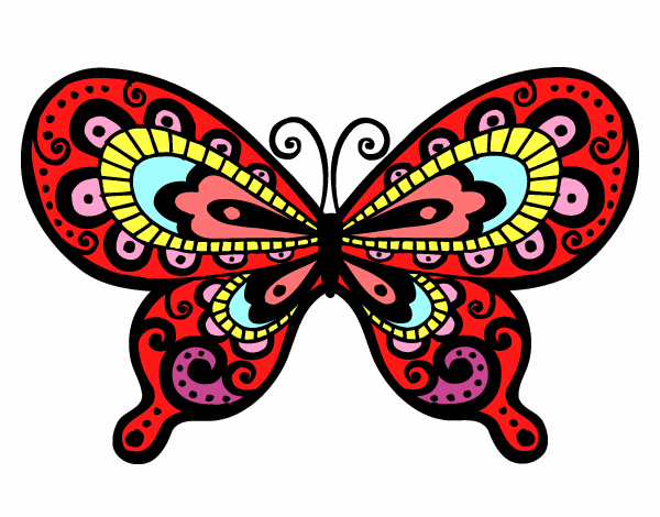 Mariposa bonita