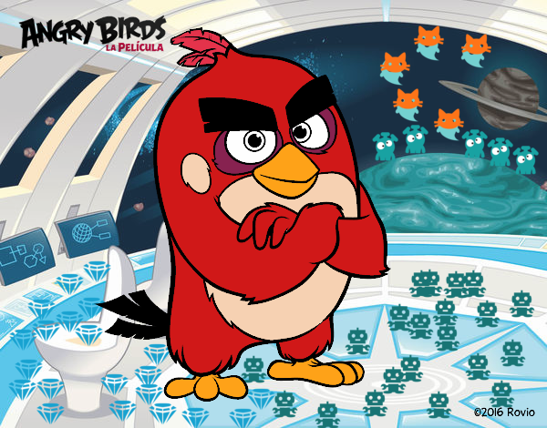 Red de Angry Birds