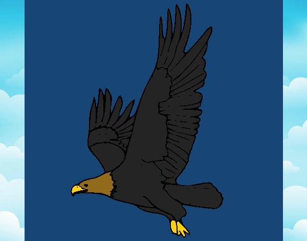 Águila volando