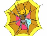 Araña