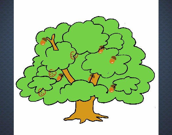 Árbol