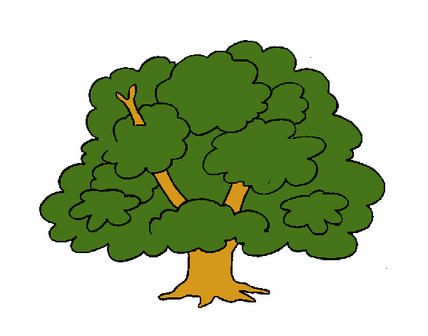 Árbol