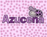 Azucena