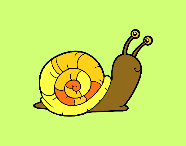 El caracol