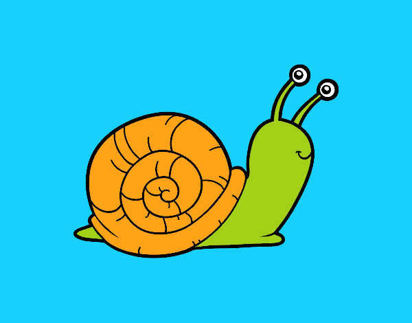 el caracol de maia