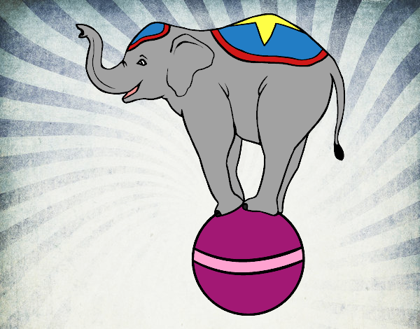 Elefante equilibrista