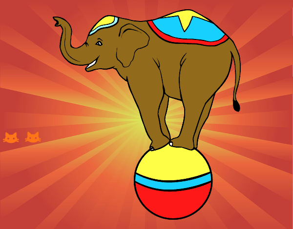 Elefante equilibrista