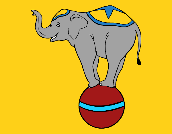 Elefante equilibrista