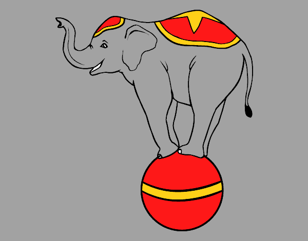 Elefante equilibrista