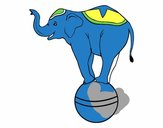 Elefante equilibrista