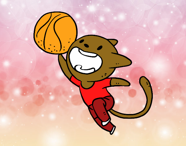 Gato jugando a baloncesto