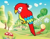 Guacamayo