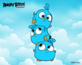 Dibujo Las crias de Angry Birds pintado por Benji19