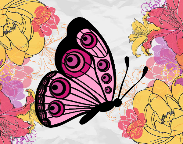 Dibujo Mariposa dirección derecha pintado por marieugeni