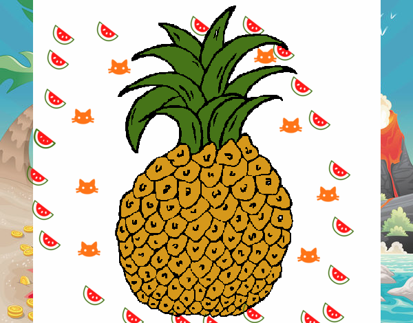 piña